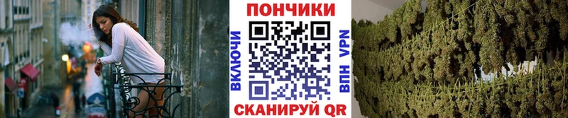 Все наркотики Электросталь Вейп ТГК  Псилоцибиновые грибы  OMG как войти  COCAIN  Гашиш  Alpha-PVP  Канабис 
