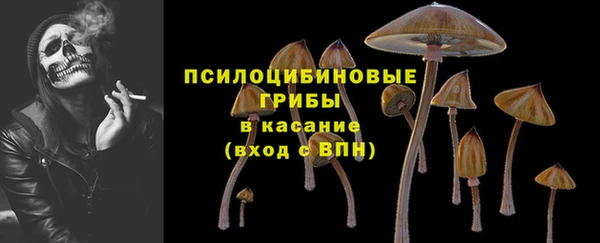 крисы Беломорск