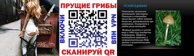 Галлюциногенные грибы MAGIC MUSHROOMS  Электросталь 
