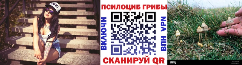 Галлюциногенные грибы GOLDEN TEACHER Электросталь